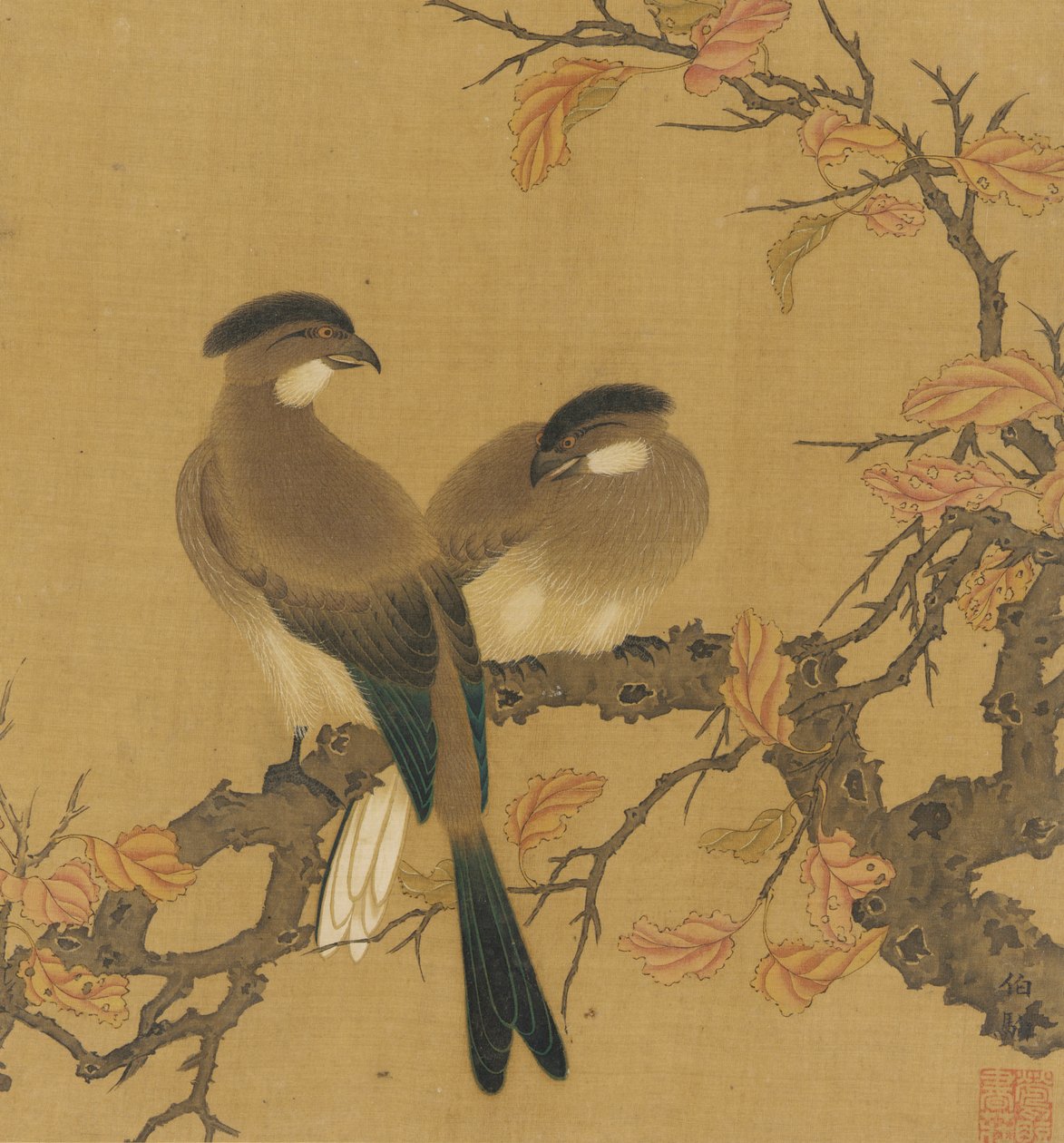 Deux oiseaux huppés sur une branche, feuilles d