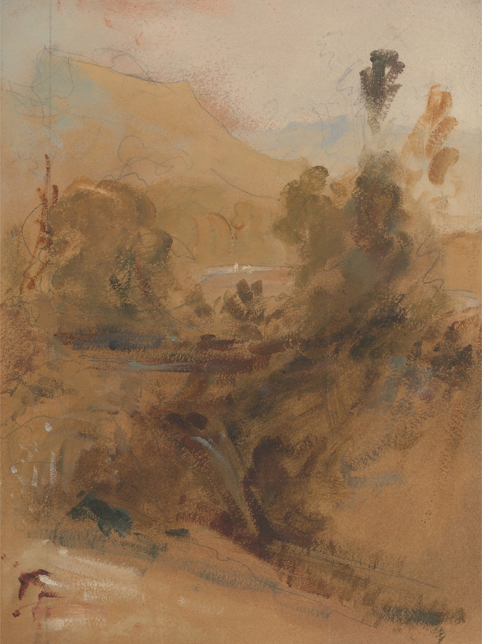 Paysage vertical - Unbekannt