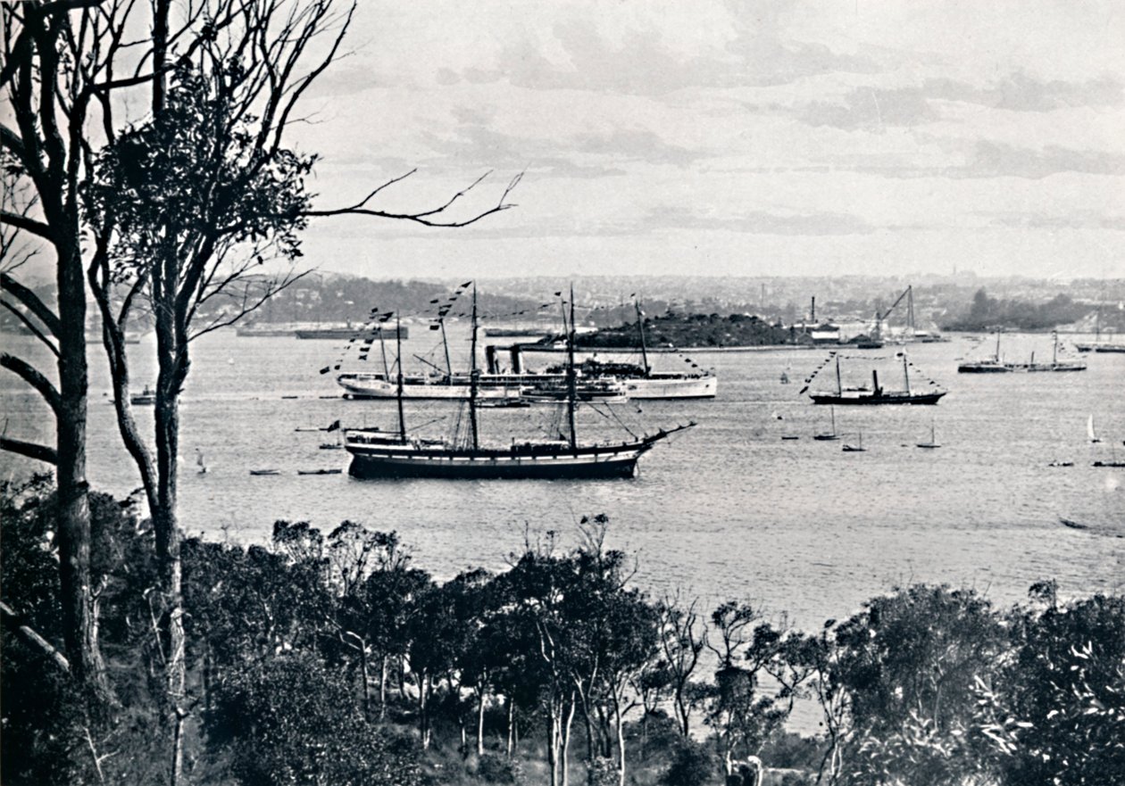 Vue du port de Sydney depuis North Shore, n° 1, vers 1900 - Unbekannt