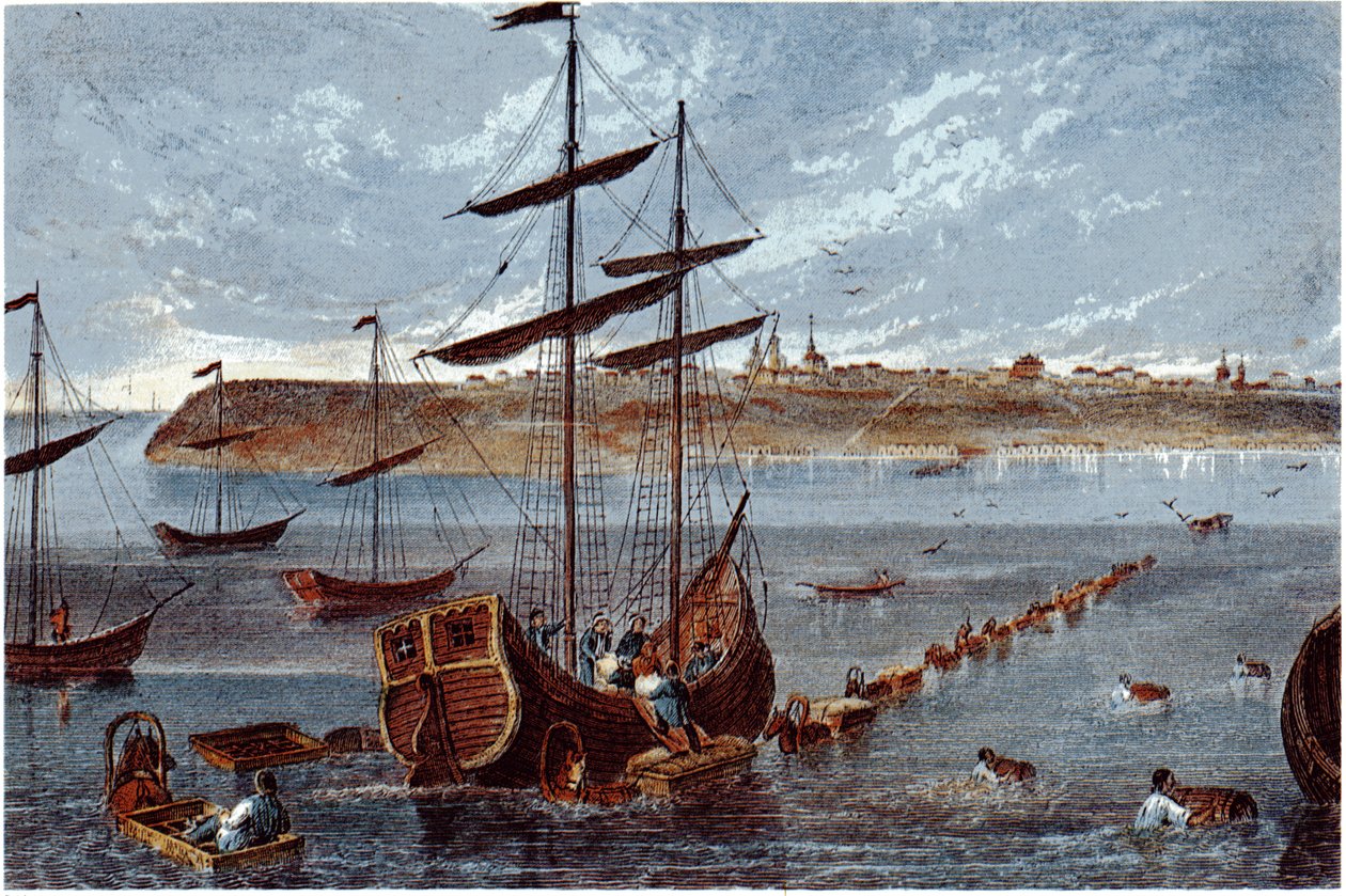 Vue de Taganrog, vers 1840 - Unbekannt