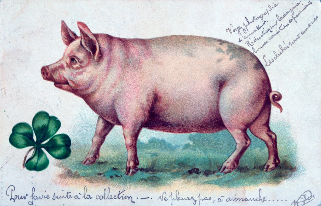 Carte postale française vintage, vers 1900 - Unbekannt