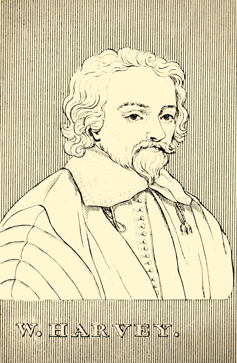 W. Harvey, 1578-1657, 1830 - Unbekannt