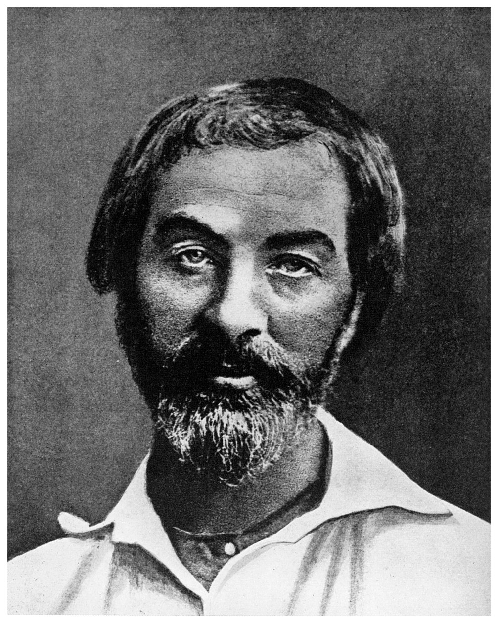 Walt Whitman, poète américain - Unbekannt