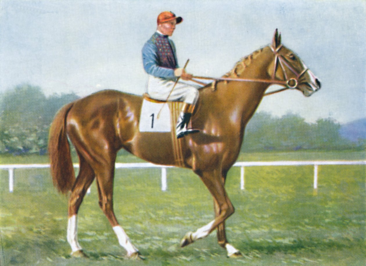 Waterbird, jockey : E. Smith, 1939 - Unbekannt