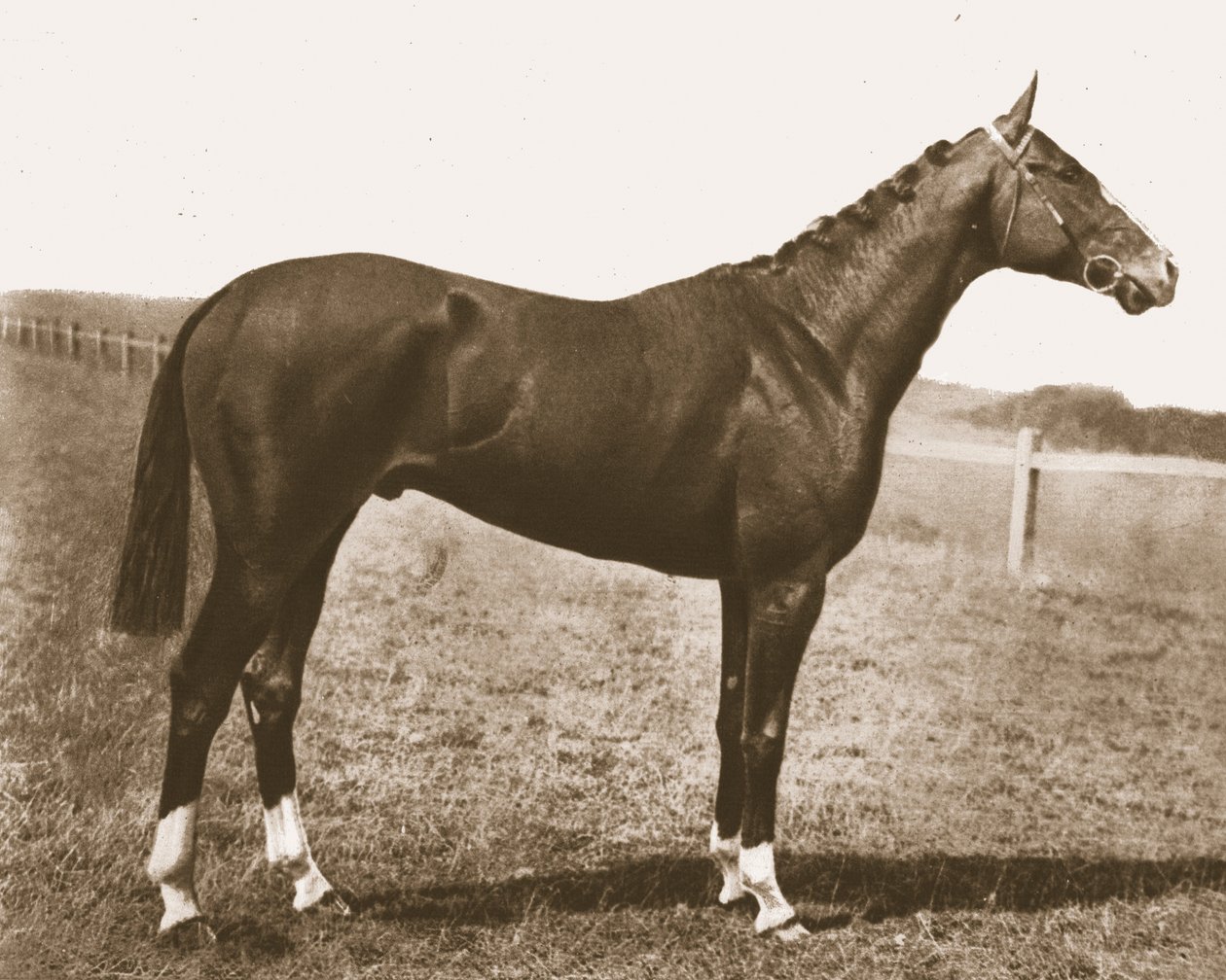 Girouette, 1911 - Unbekannt