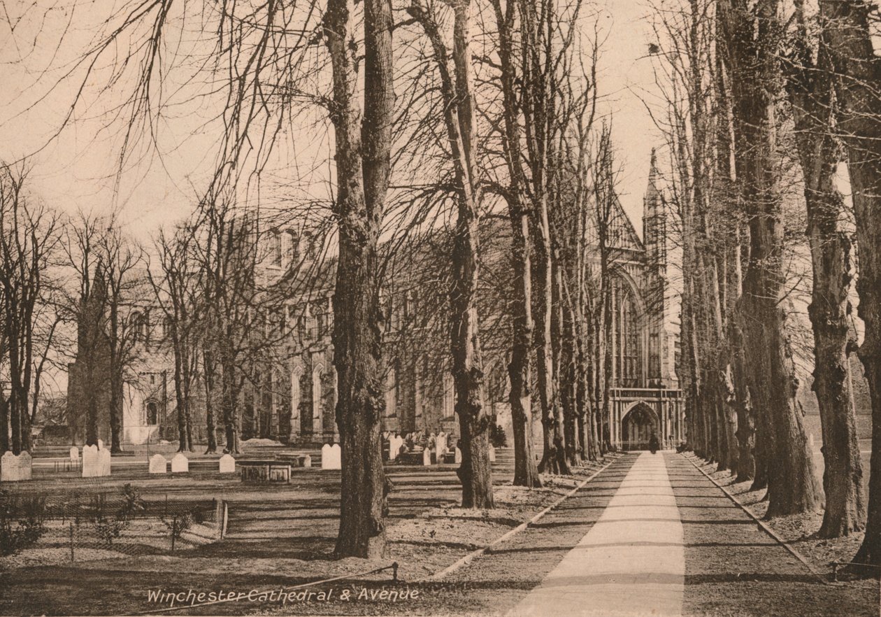 Cathédrale de Winchester et avenue, Hampshire, début du 20ème siècle - Unbekannt