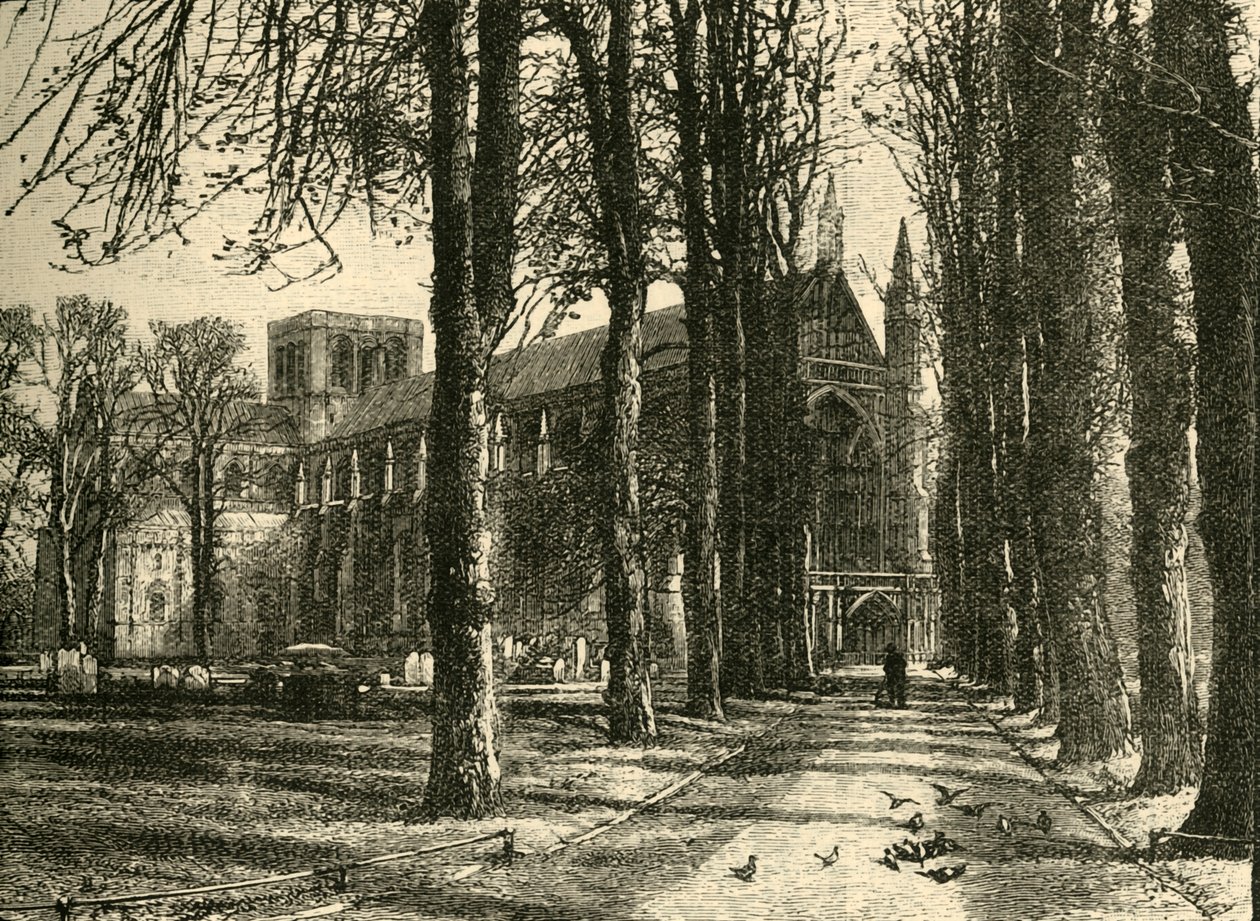 Cathédrale de Winchester, vue du nord-ouest, 1898 - Unbekannt