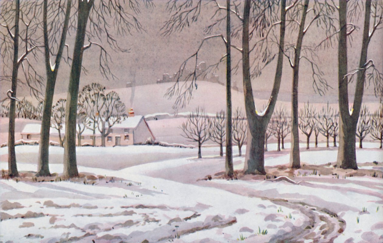 Hiver - Les changements physiques, chimiques et biologiques causés par le soleil au cours de l