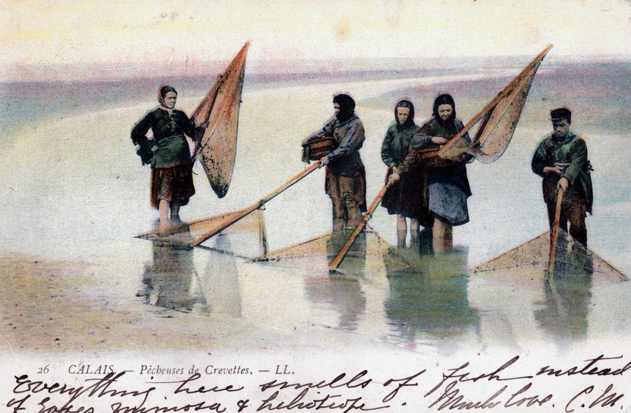 Femmes pêcheuses de crevettes, Calais - Unbekannt