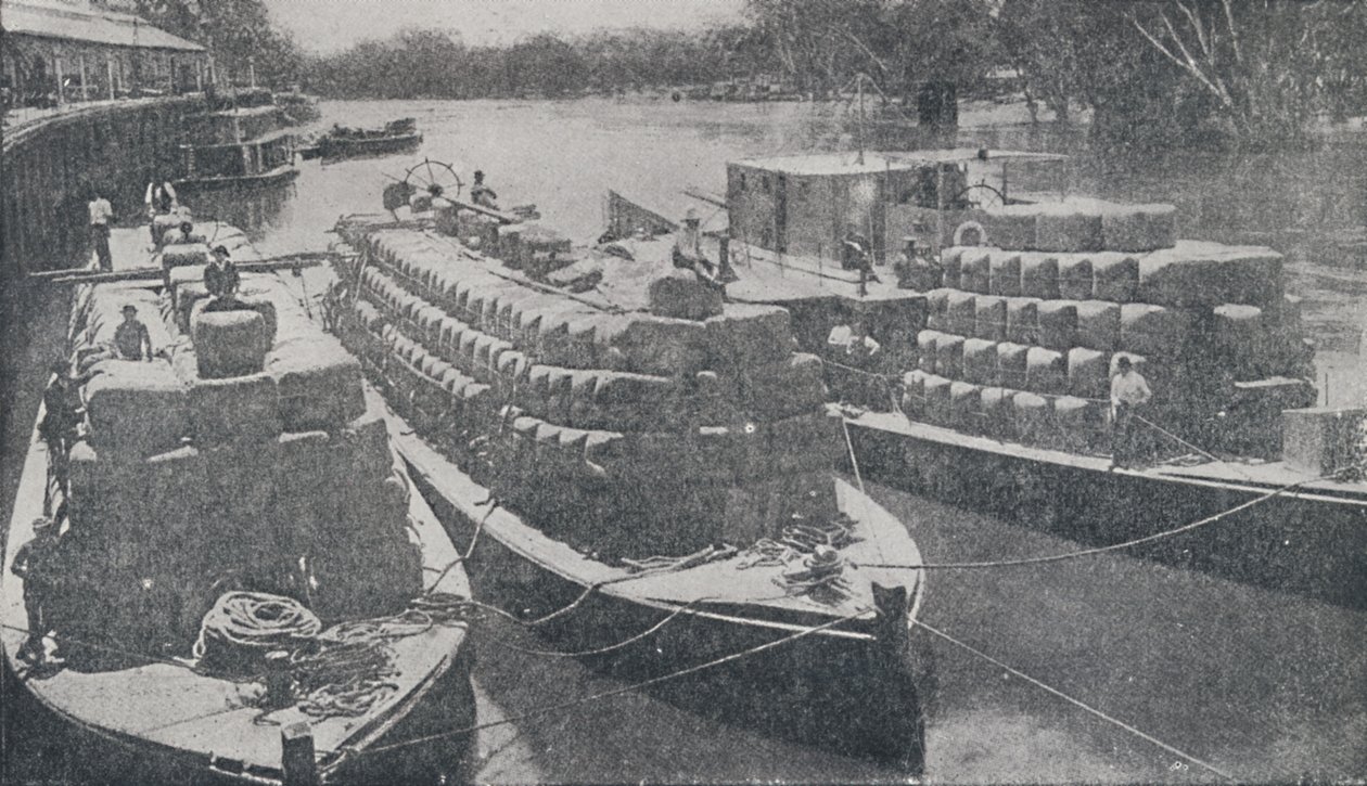 Barges de laine sur la rivière Murray, 1923 - Unbekannt