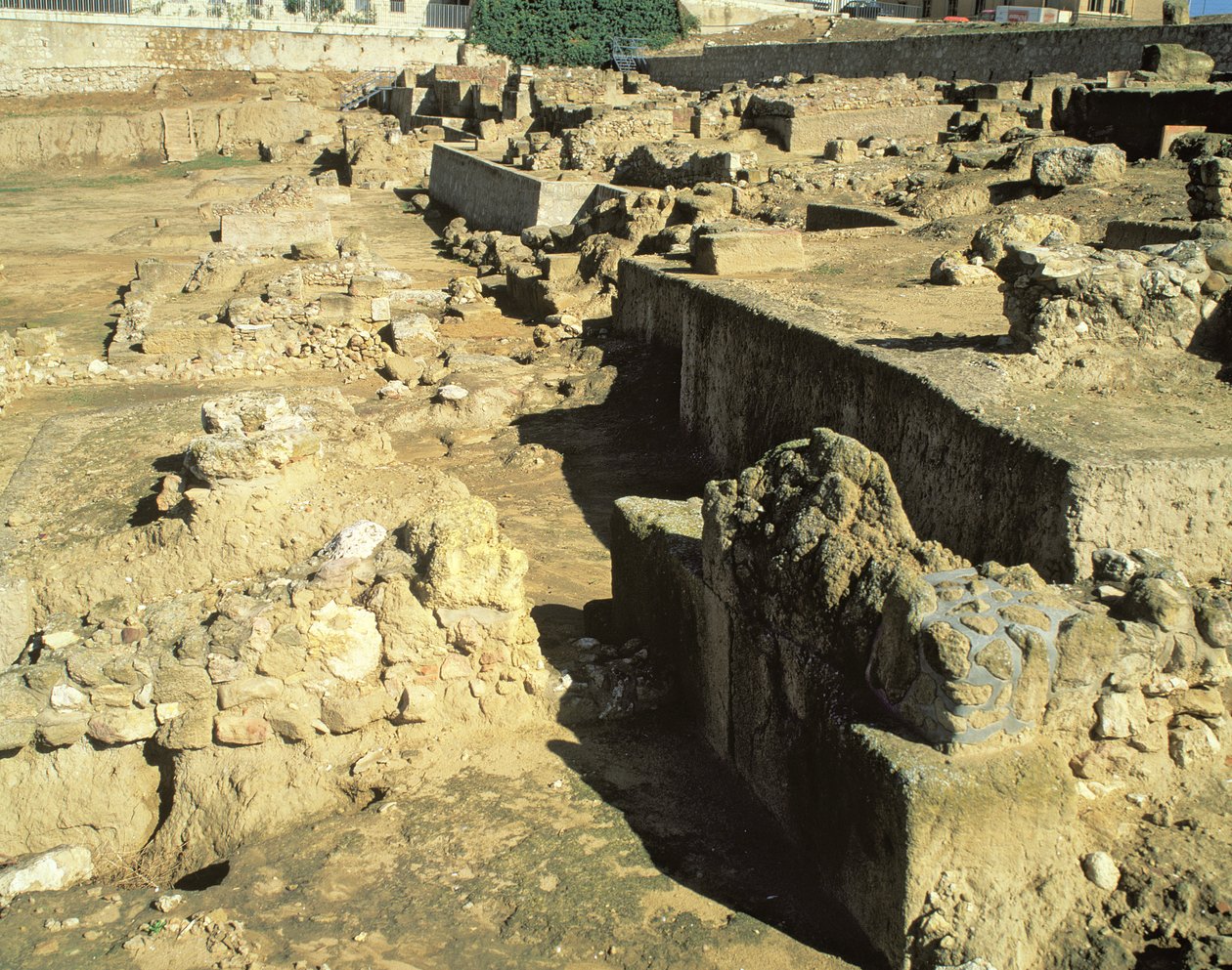 Vestiges archéologiques de la colonie grecque, VIe-Ve siècle av. J.-C. - Unbekannt Unbekannt