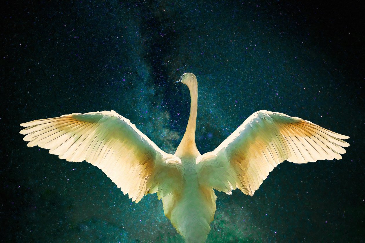 Cygnus, 2017 - Unbekannt Unbekannt