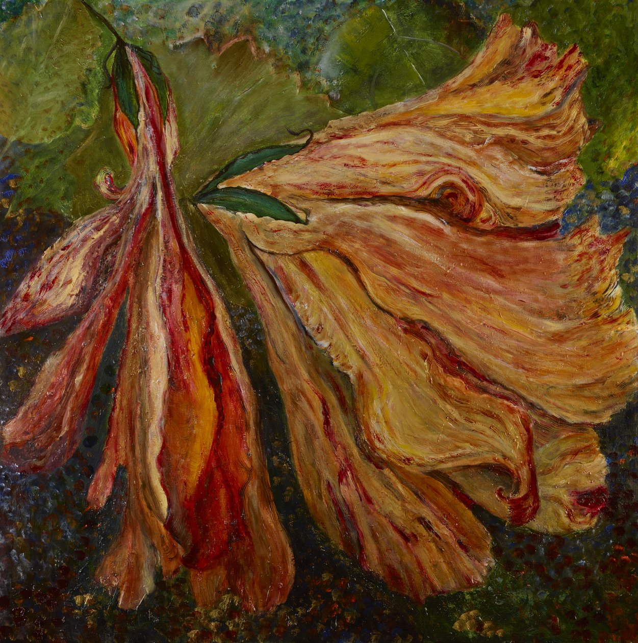 Image inconnue - Unbekannt Unbekannt