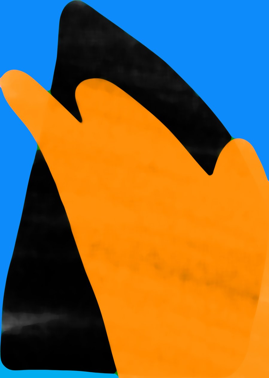 Image inconnue - Unbekannt Unbekannt