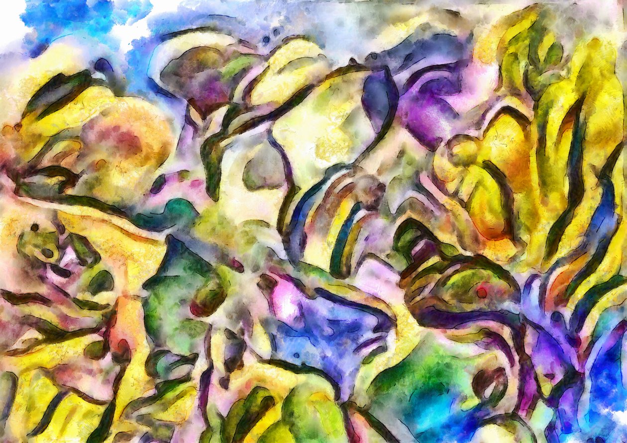 Image inconnue - Unbekannt Unbekannt