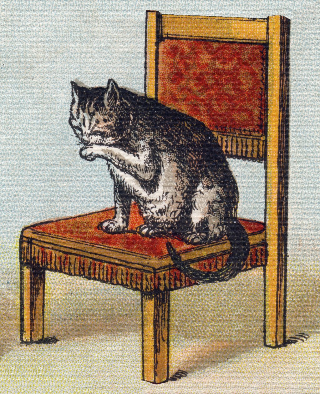 Un chat sur une chaise. Gravure dans "Alphabet de ma petite fille". Bernardin-Bechet et Fils, libraires-éditeurs, Paris, vers 1895. Album incassable sur toile. Bibliothèque des Bébés. 12 pages. Album contenant une méthode de lecture et un abécédaire illust - Unbekannt