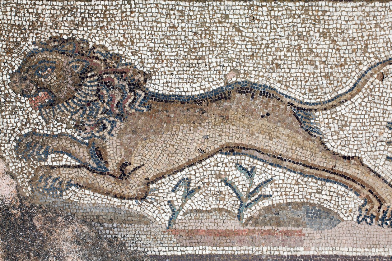 Un lion - Détail d