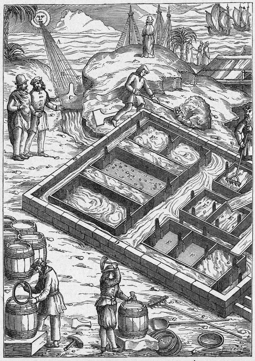 Un marais salant au XVIe siècle (gravure) - Unbekannter Künstler