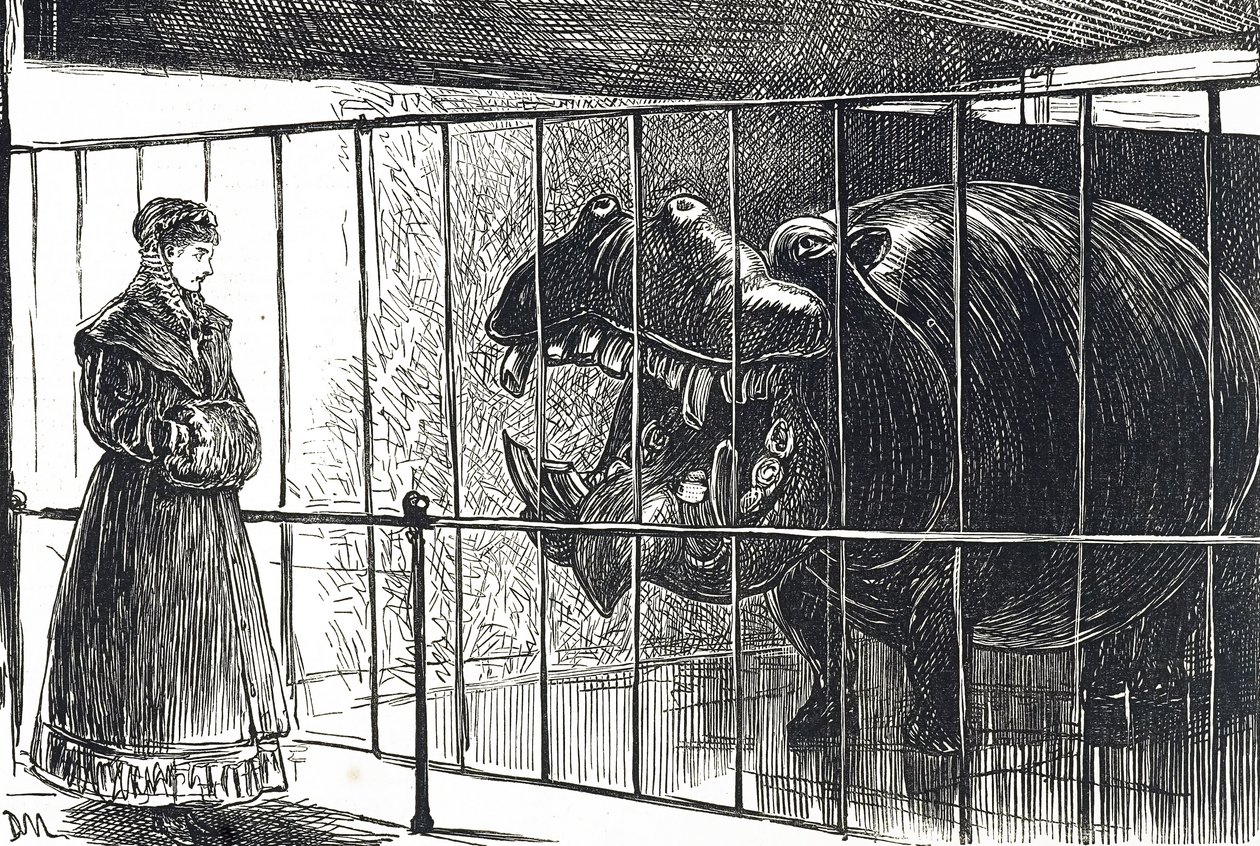 Une femme aux jardins de la Société zoologique de Regent