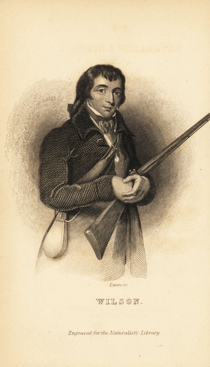 Alexander Wilson, ornithologue, naturaliste et poète écossais-américain - Unbekannt