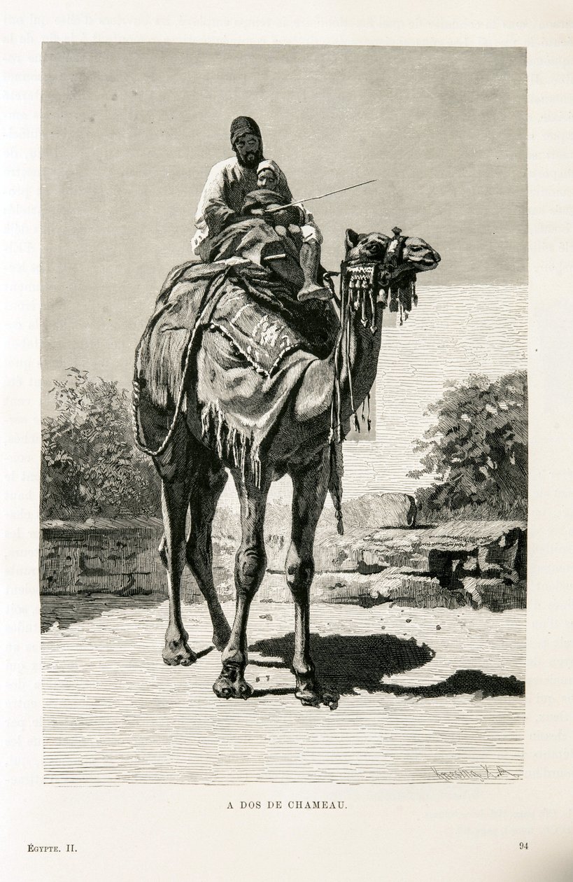 Un Égyptien et son enfant sur un chameau - Illustration de l