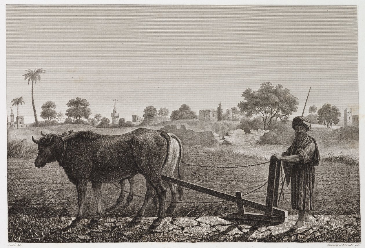 Labourage avec des bœufs, Égypte, vers 1798 - Unbekannt