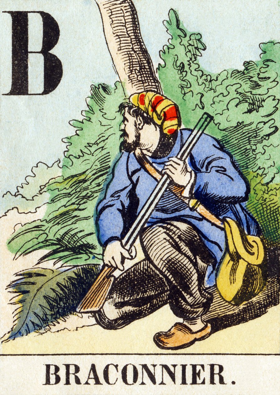 B : Braconnier - L