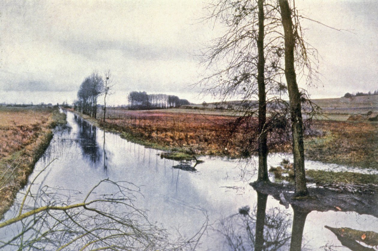 Bataille de la Marne, marais de Saint Gond - Unbekannter Künstler
