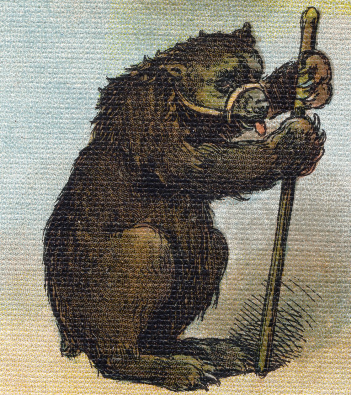 Ours. Gravure dans « Alphabet de ma petite fille ». Bernardin-Bechet et Fils, libraires-éditeurs, Paris, vers 1895. Album incassable sur toile. Bibliothèque des Bébés. 12 pages. Album contenant une méthode de lecture et un abécédaire illustré - Unbekannt
