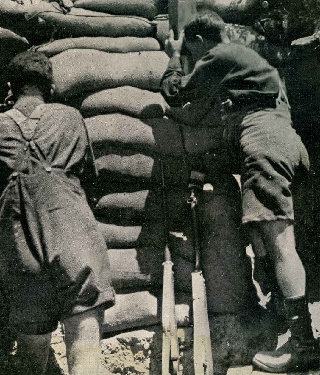Troupes britanniques combattant en shorts kaki, péninsule de Gallipoli - Unbekannt