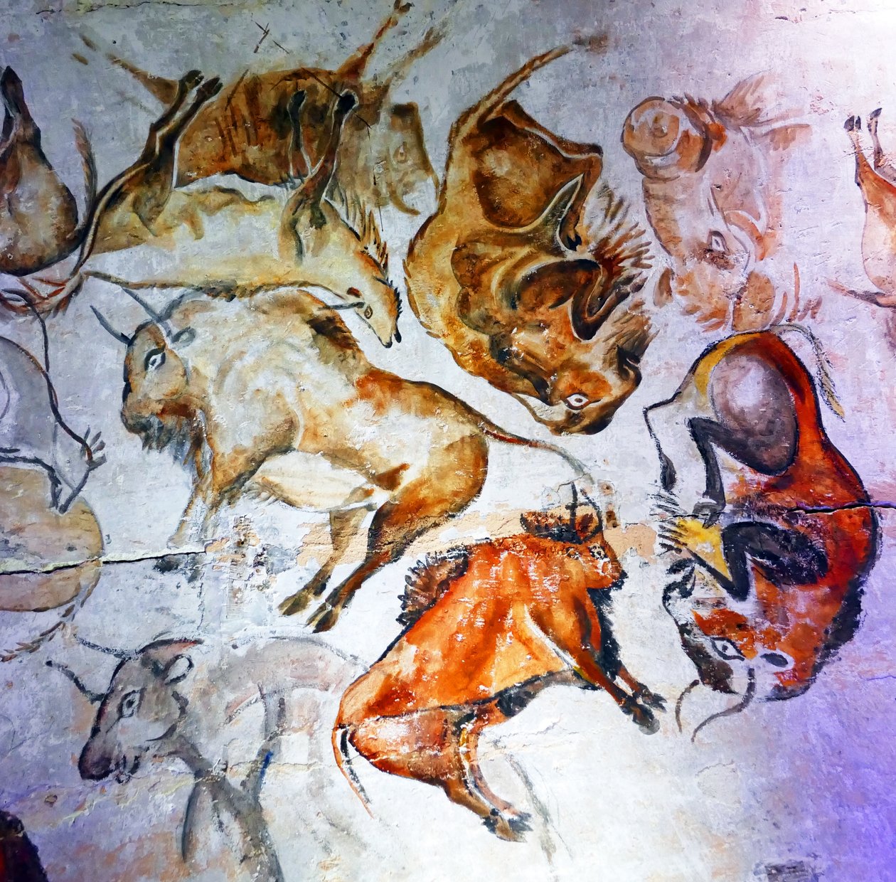 Peintures rupestres trouvées dans la grotte d