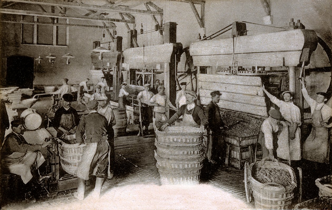 Champagne : pressurage des raisins à la maison de récolte Saint-Hélène, maison Moet & Chandon Epernay, début du XXe siècle - Benjamin Baud