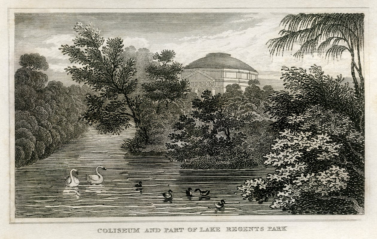Colisée et lac, Regent