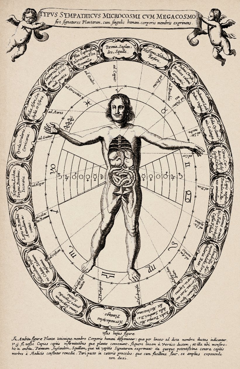 Correspondance entre microcosme et macrocosme. Planche tirée de « Mundus subterraneus » par Athanase Kircher (1601-1680) - Unbekannter Künstler