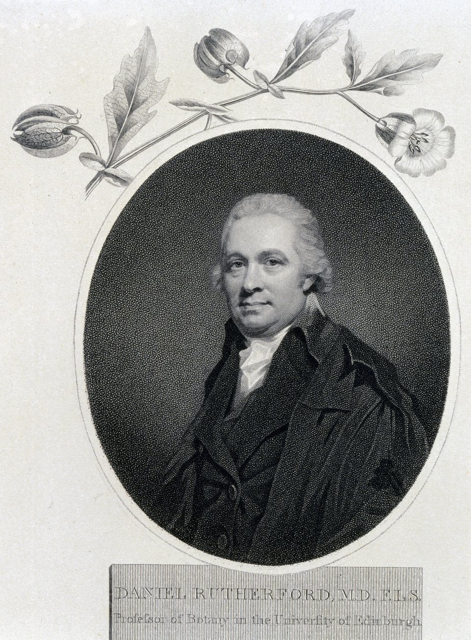Daniel Rutherford, chimiste et botaniste écossais, début du XIXe siècle - Unbekannt