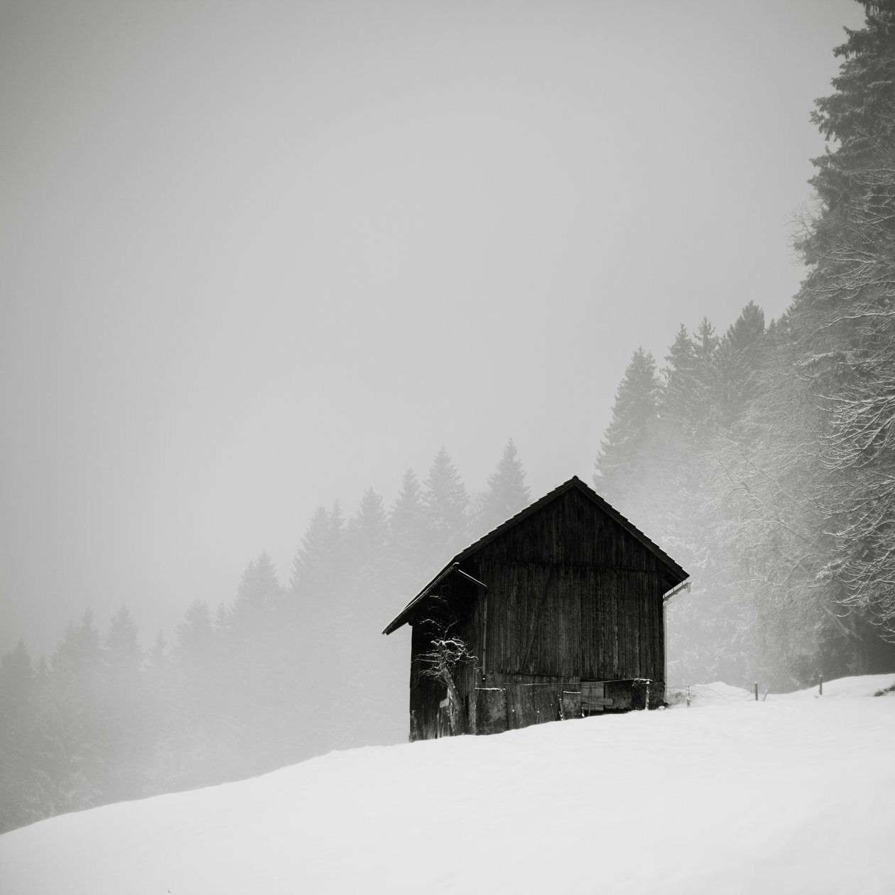 Le secret de la clairière, Oberstaufen, Allemagne - Leopold Blonder