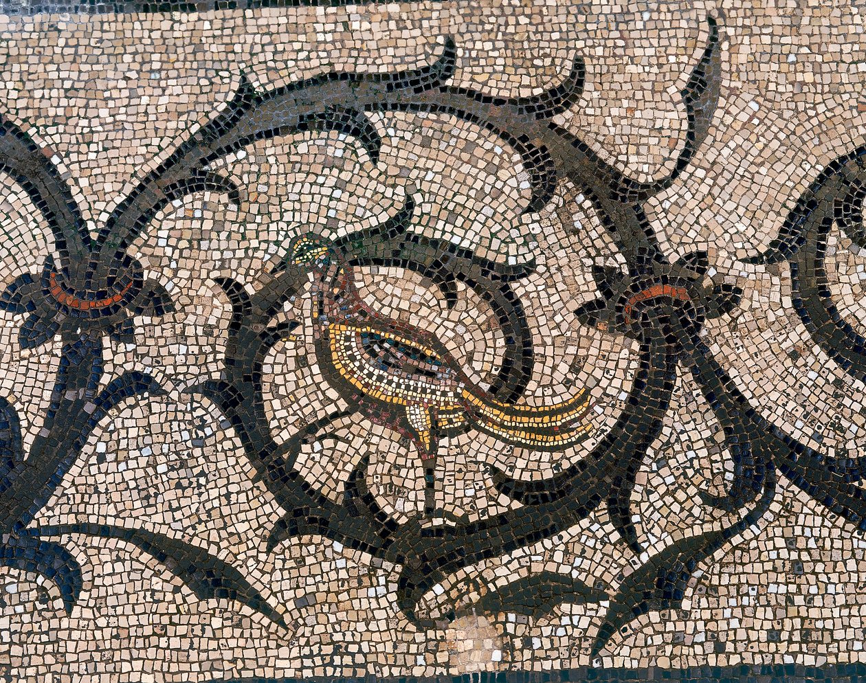 Détail du sol de la basilique paléochrétienne d
