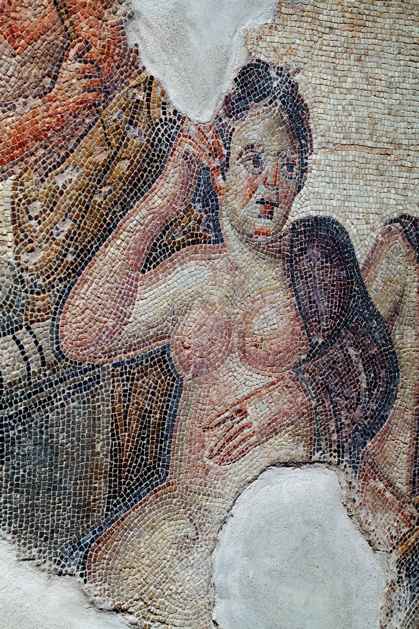 (détail) du panneau montrant Léda, reine de Sparte, en compagnie des filles lacédémoniennes, sur le point de se baigner dans le fleuve Eurotas - Elle est approchée par Zeus déguisé en cygne - Mosaïques de Paphos, Maison d