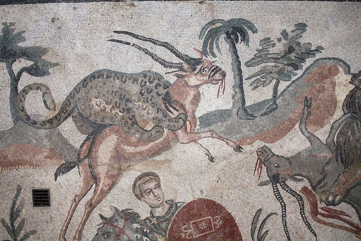 Détail de la mosaïque de la grande chasse. Un léopard attaquant une gazelle. IIIe - IVe siècle. Villa romaine du Casale, Sicile. Site UNESCO. - William M. Timlin