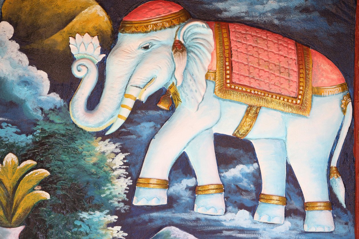 Éléphant dévoué - Unbekannt