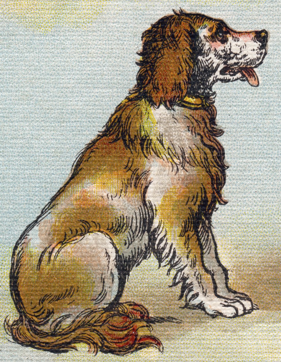 Chien. Gravure dans "Alphabet de ma petite fille". Bernardin-Béchet et Fils, libraires-éditeurs, Paris, vers 1895. Album incassable sur toile. Bibliothèque des Bébés. - Unbekannt