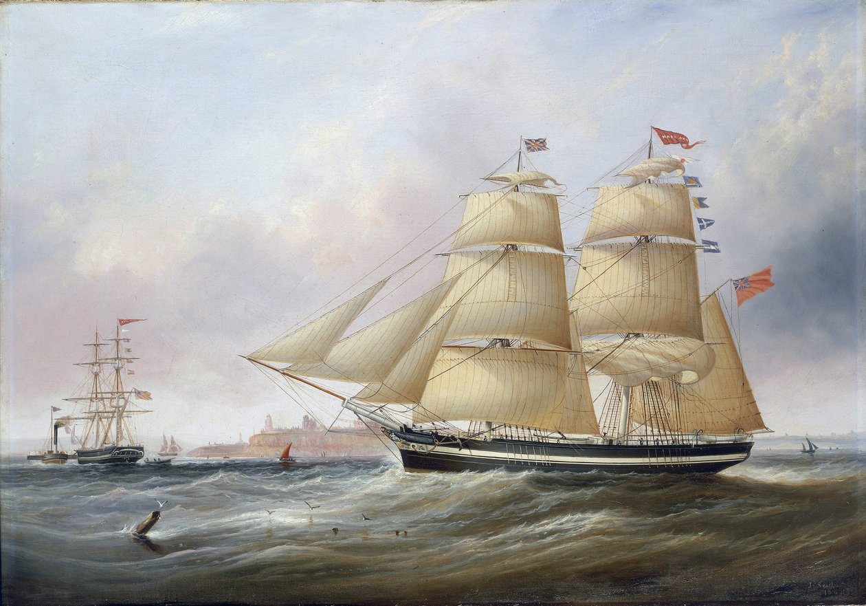 Double portrait du bateau 