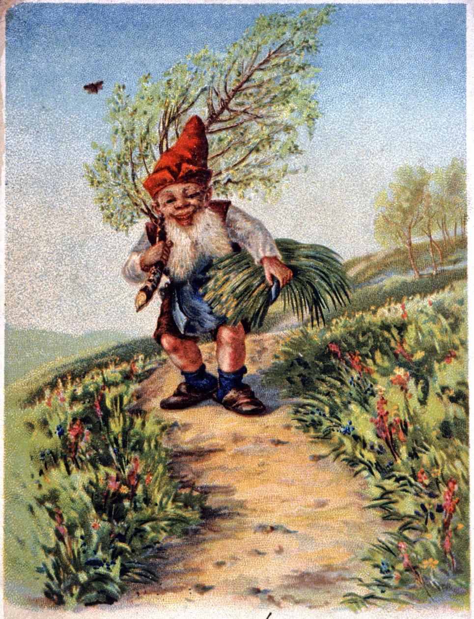Nain revenant de la cueillette, vers 1900 (carte postale) - Unbekannter Künstler
