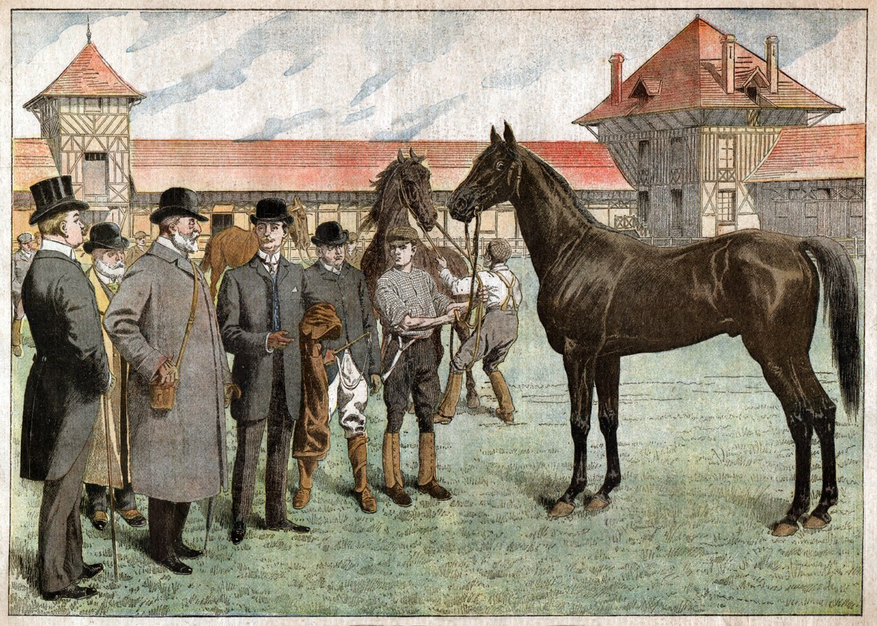 Édouard VII - Nicolas Liez