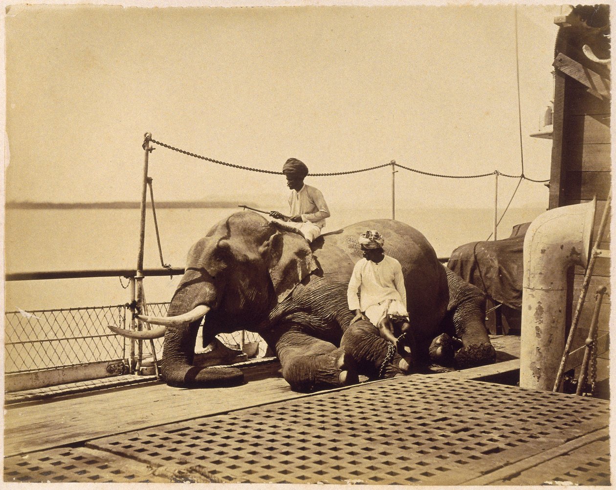 Éléphant sur le pont d