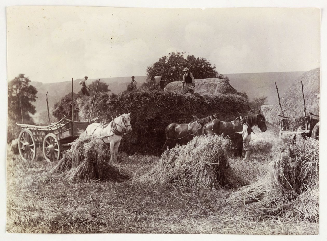 Scènes agricoles, récolte et stockage, avant 1900 Récolte, vers 1890 - Unbekannt