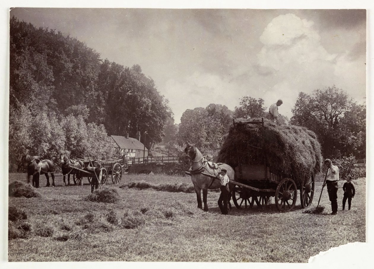 Scènes agricoles, récolte et stockage, avant 1900 Fenaison, vers 1890 - Unbekannt