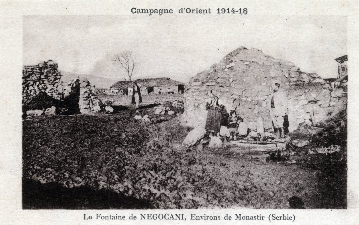 Première Guerre mondiale (1914-1918) - Campagne de l