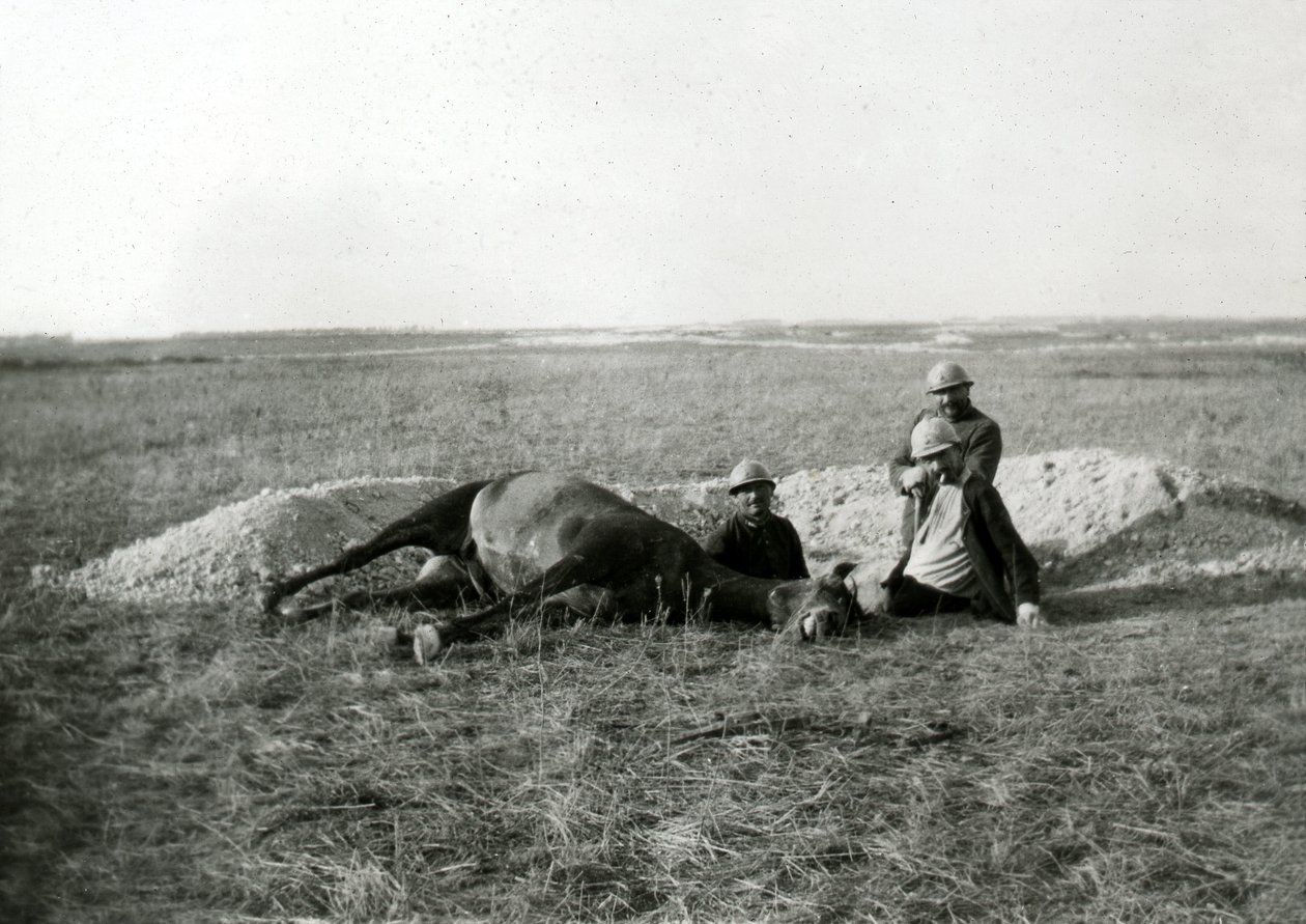 Première Guerre mondiale 14-18 (1914-1918) : trois soldats français enterrent un cheval mort - photographie sur plaque de verre - Unbekannter Künstler