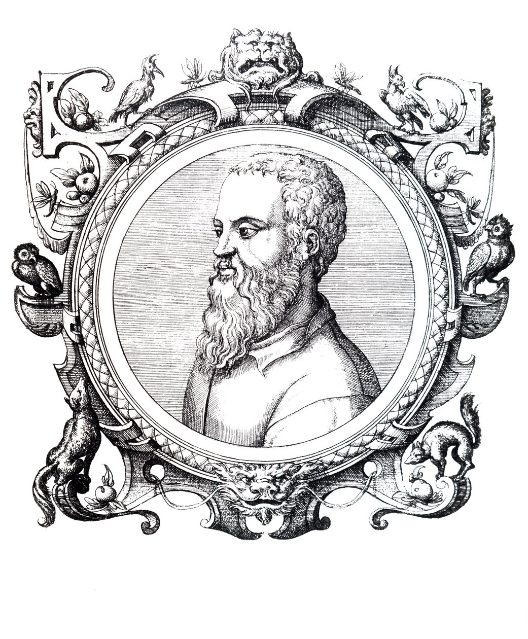 Guillaume Rondelet - Unbekannt
